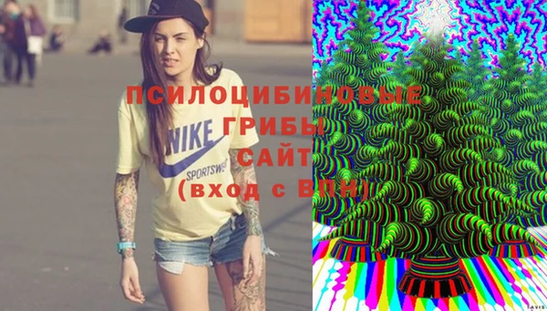 кокаин премиум Алексин